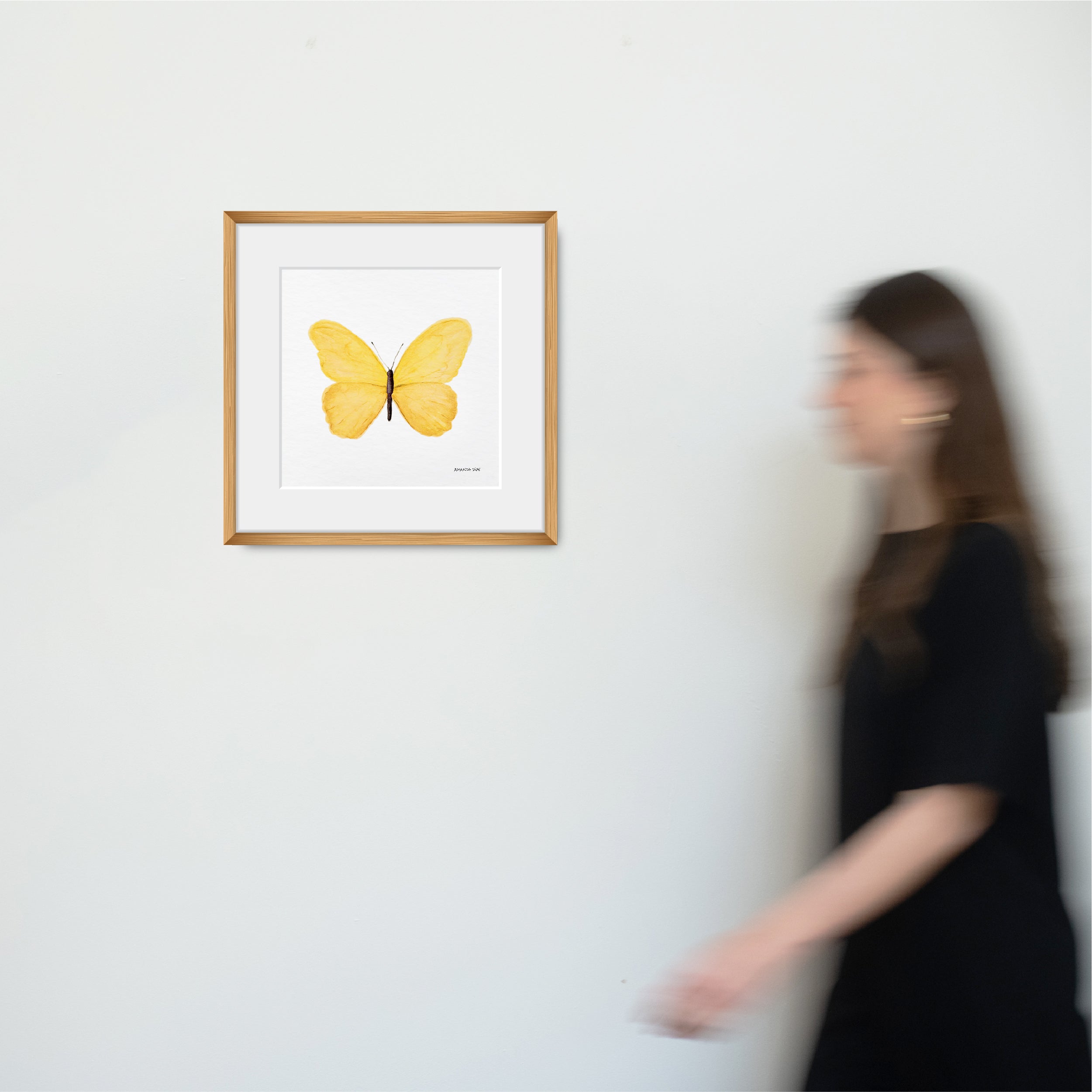 Borboleta
