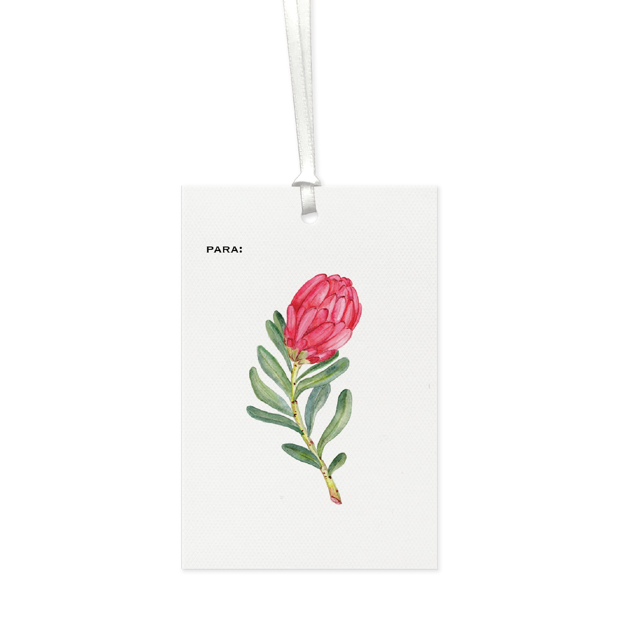 Tag Protea II