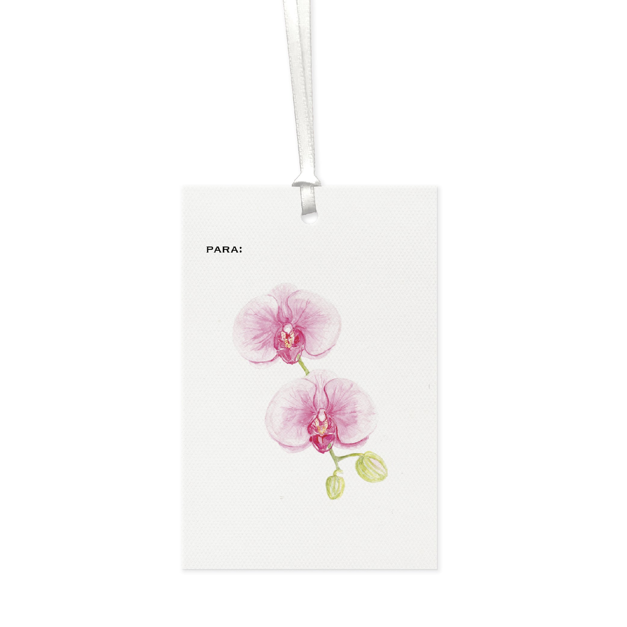 Tag Orquídea