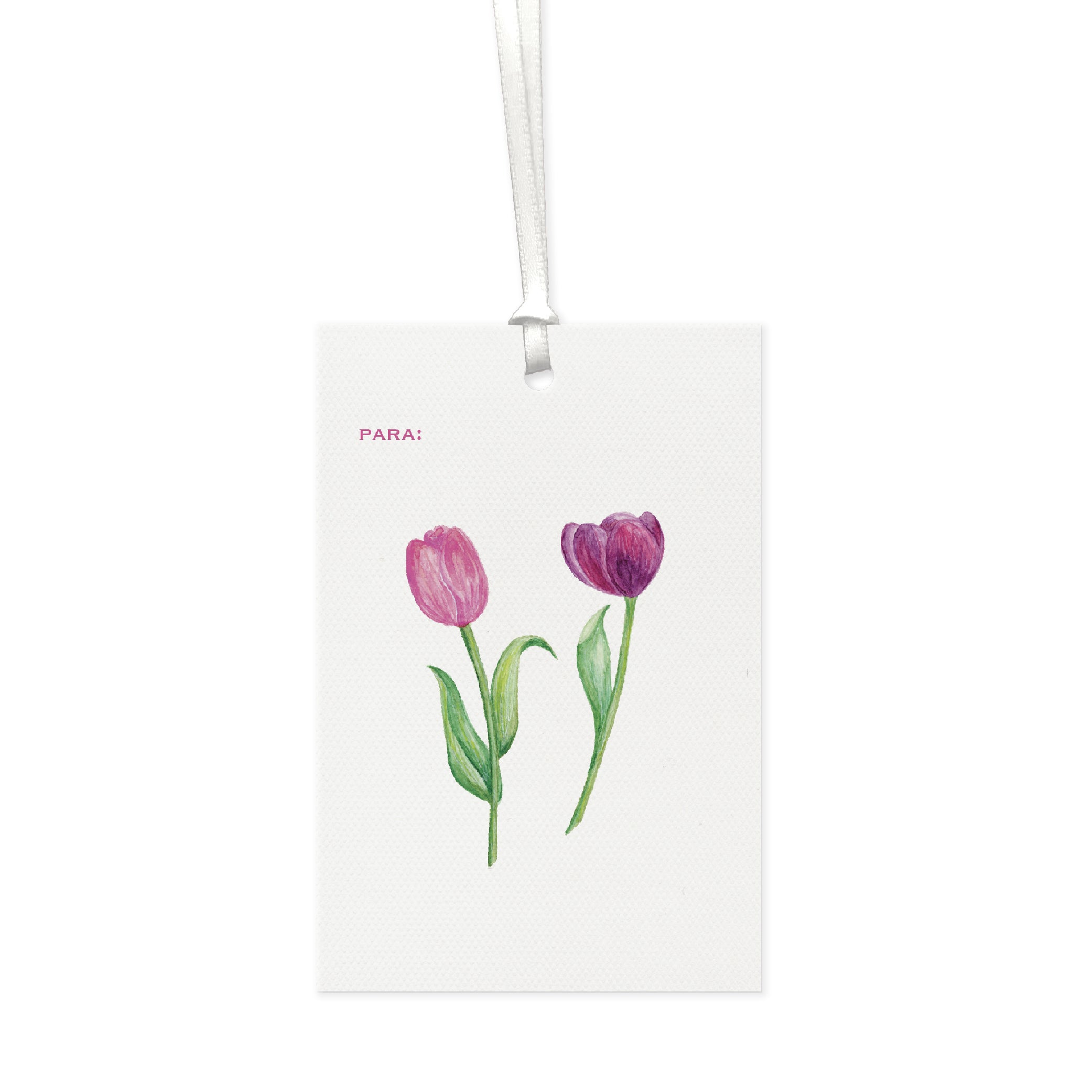Tag Tulipas