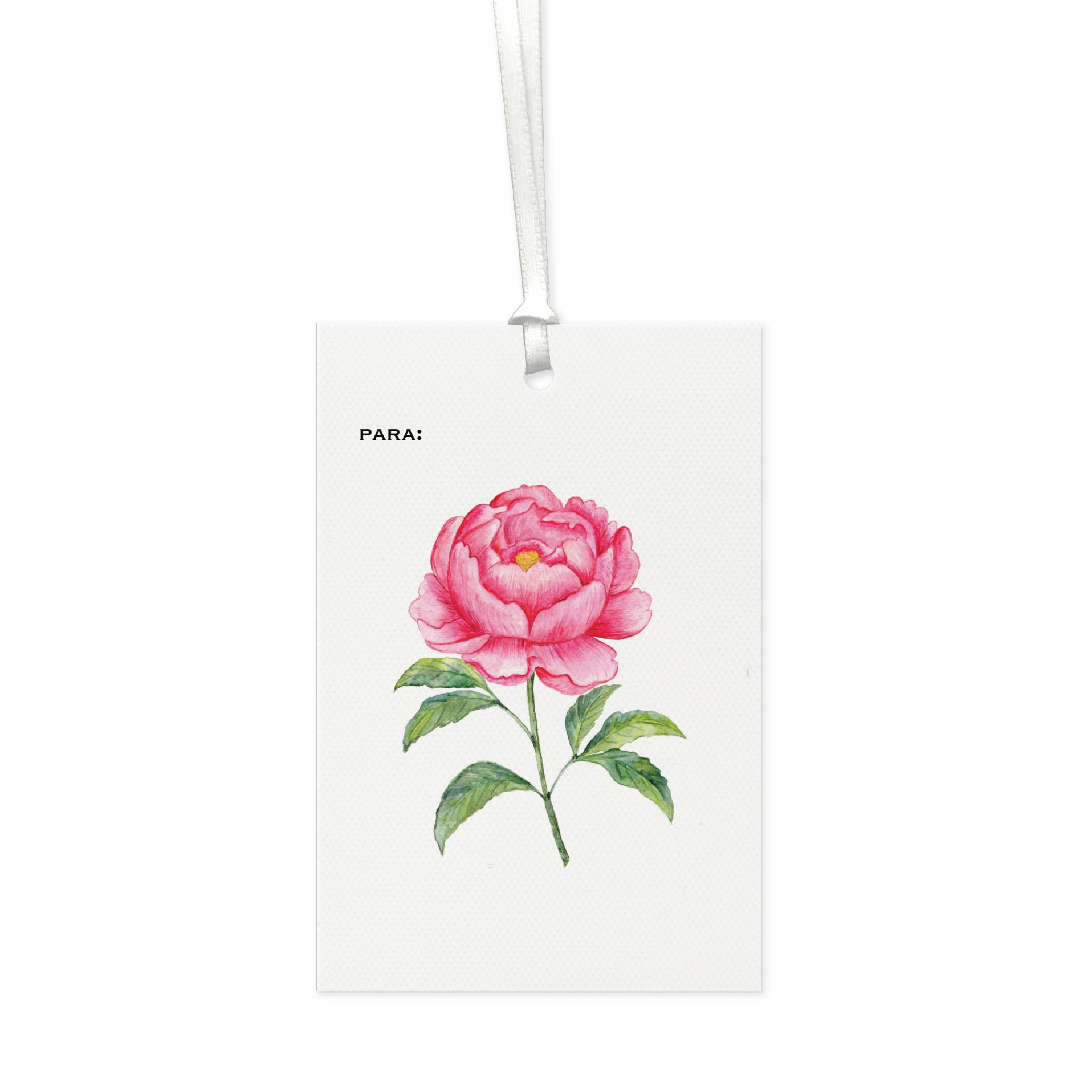 Tag Peônia Rosa