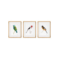 Quadro Trio Pássaros