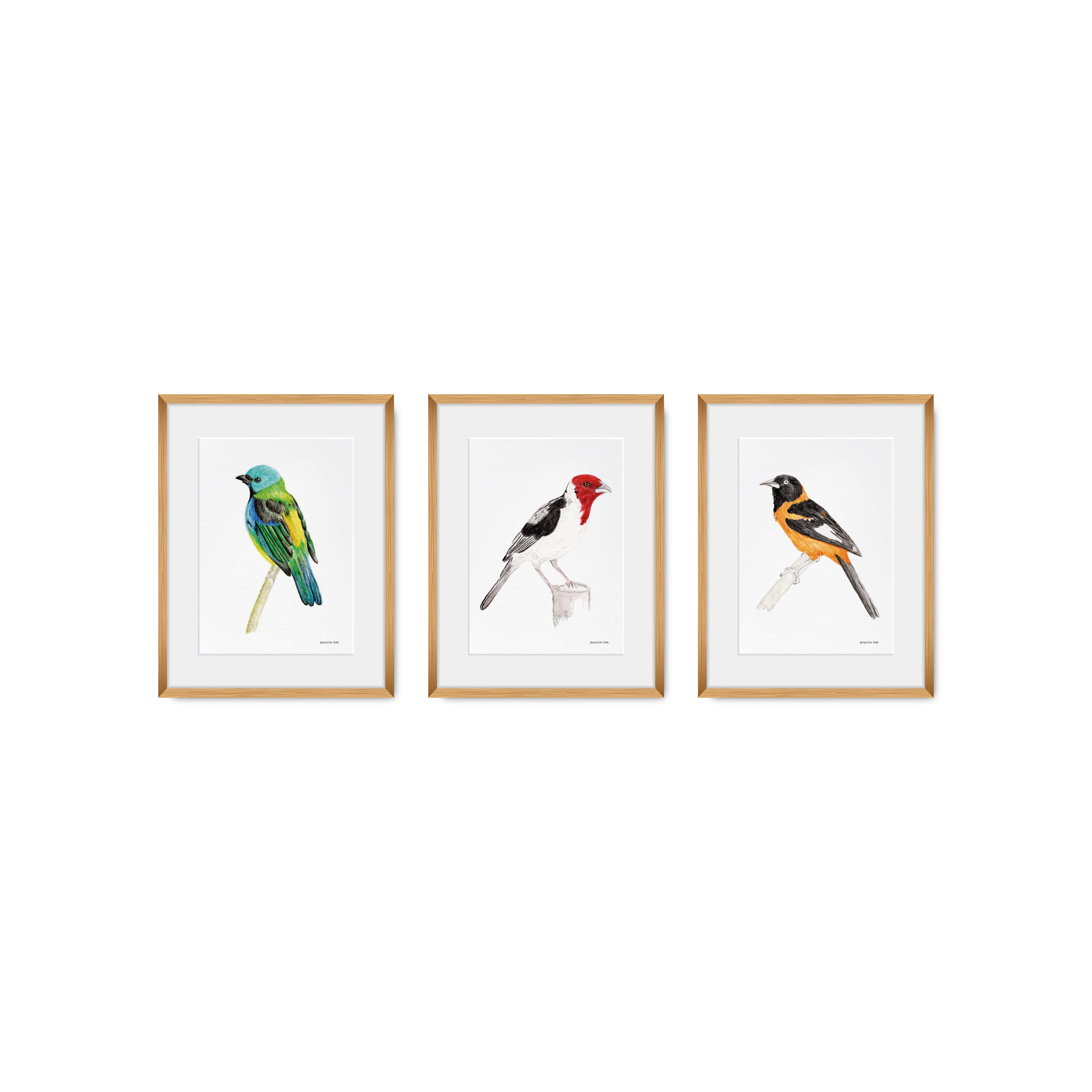 Quadro Trio Pássaros