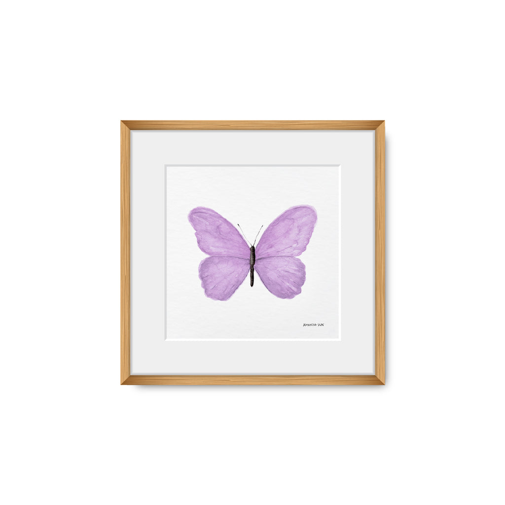 Quadro Borboleta