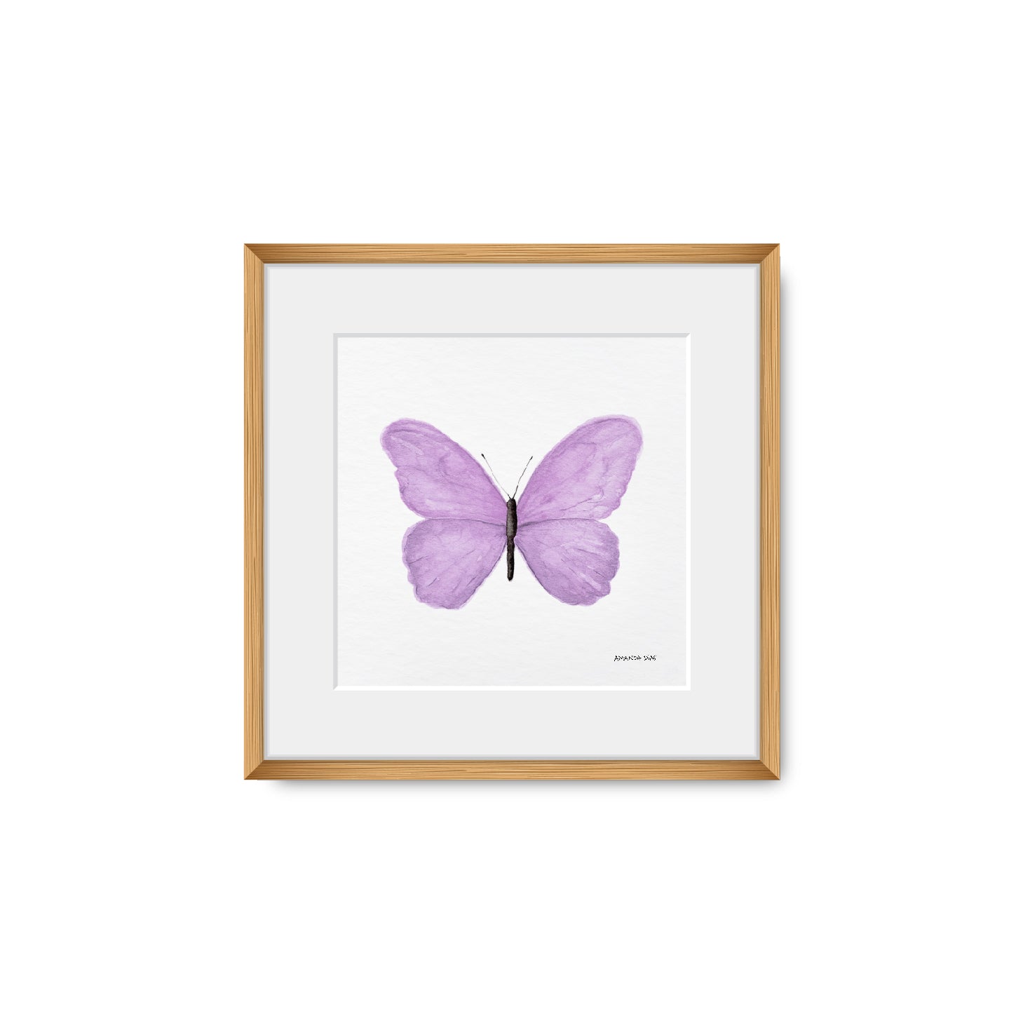 Quadro Borboleta