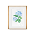 Quadro Hortênsia I