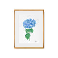 Quadro Hortênsia II