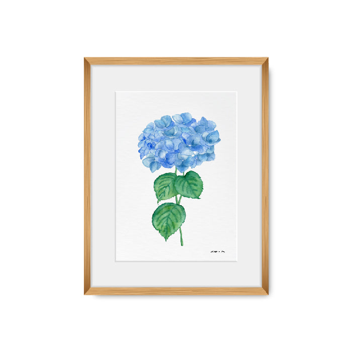 Quadro Hortênsia II