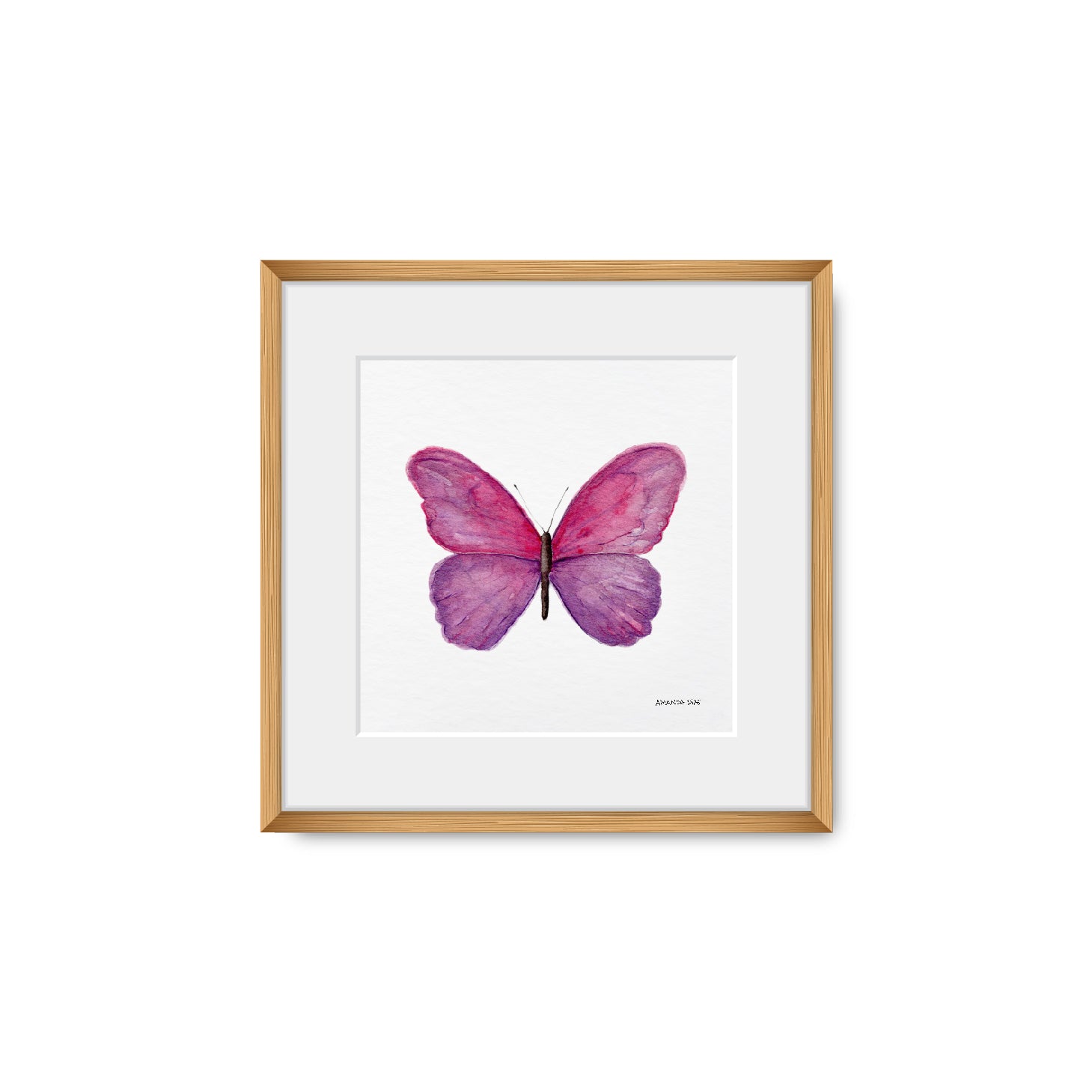 Quadro Borboleta