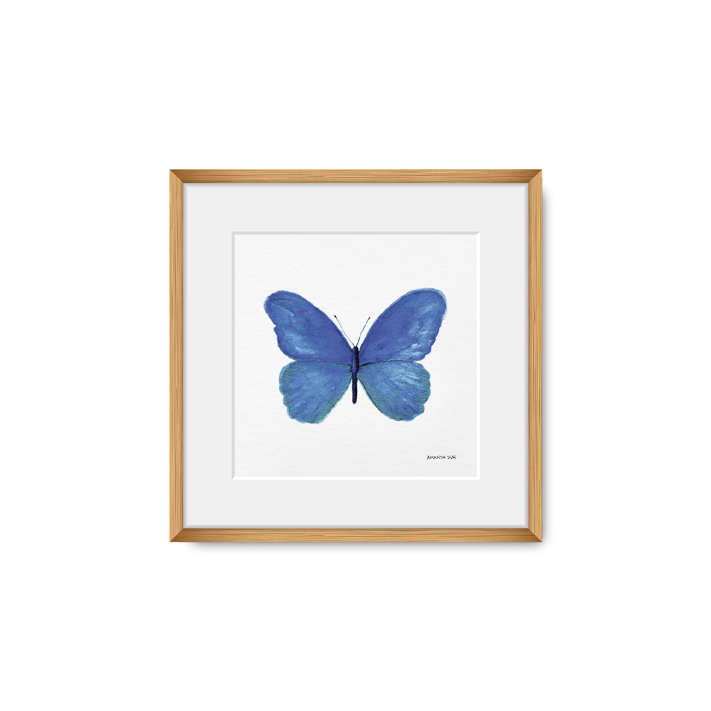 Quadro Borboleta