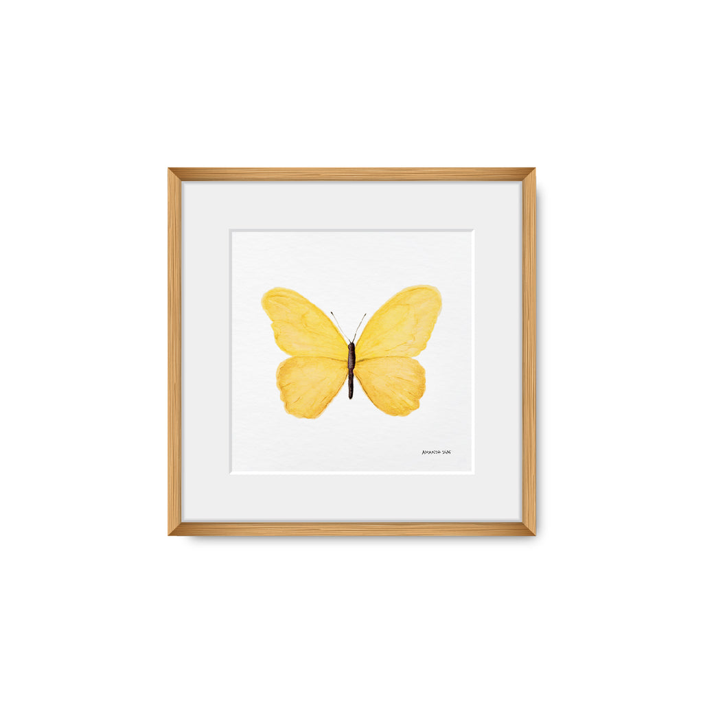 Quadro Borboleta