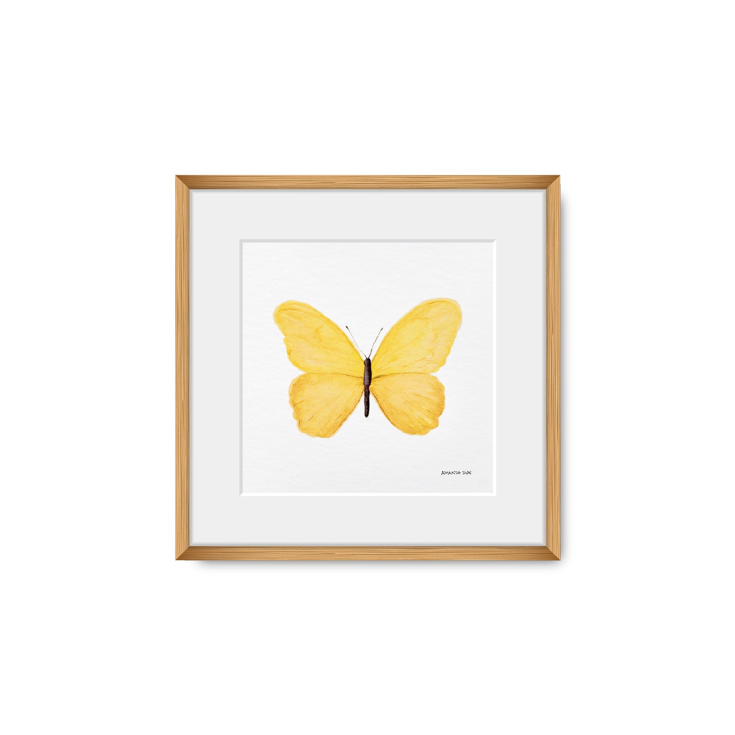 Quadro Borboleta