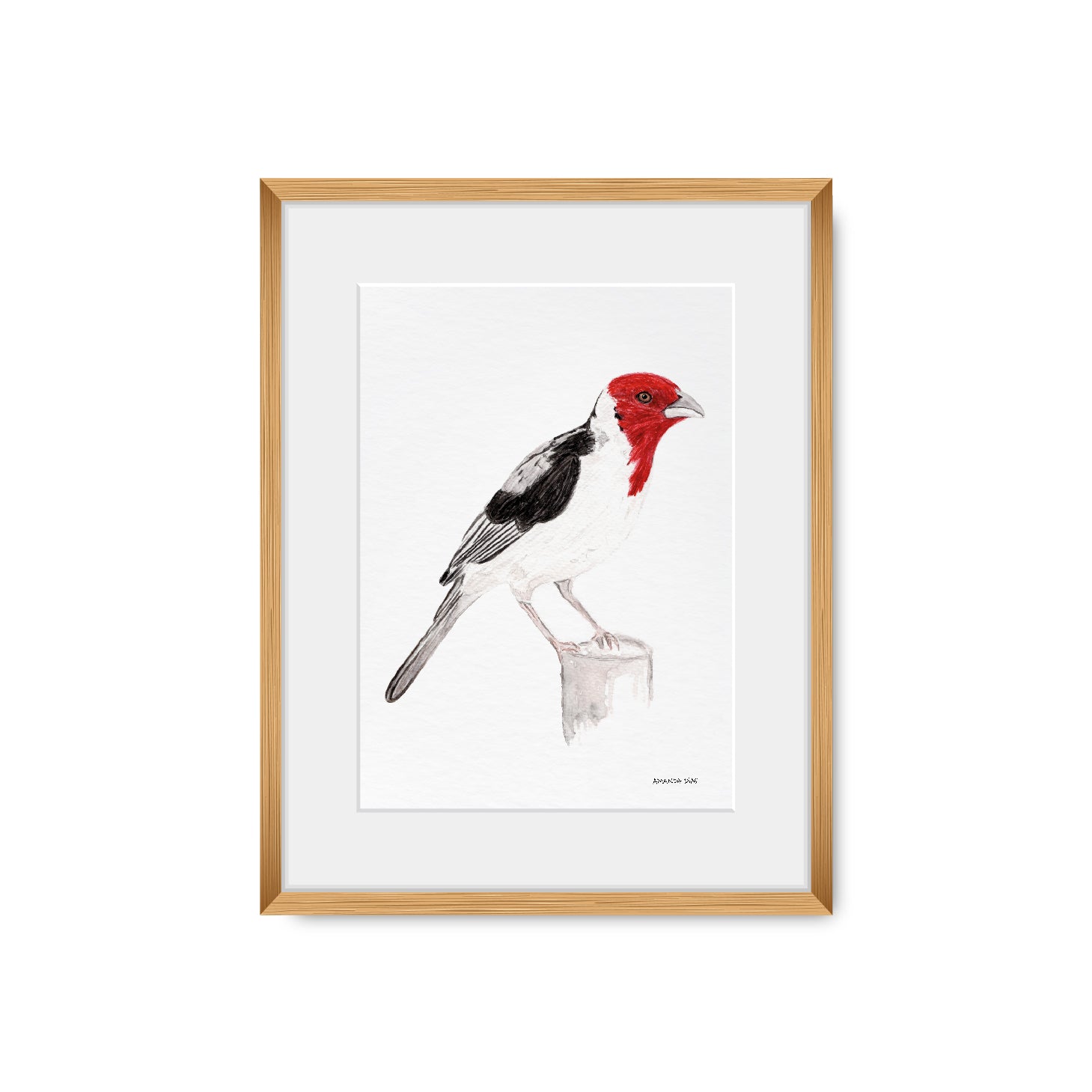 Quadro Galo de Campina